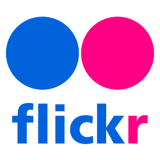 Flickr Video Downloader